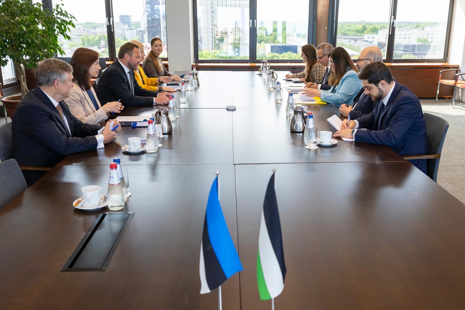 جانب من لقاء شاهين مع وزير خارجية استونيا